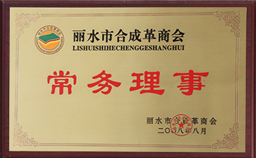 2008麗水合成革常務(wù)理事