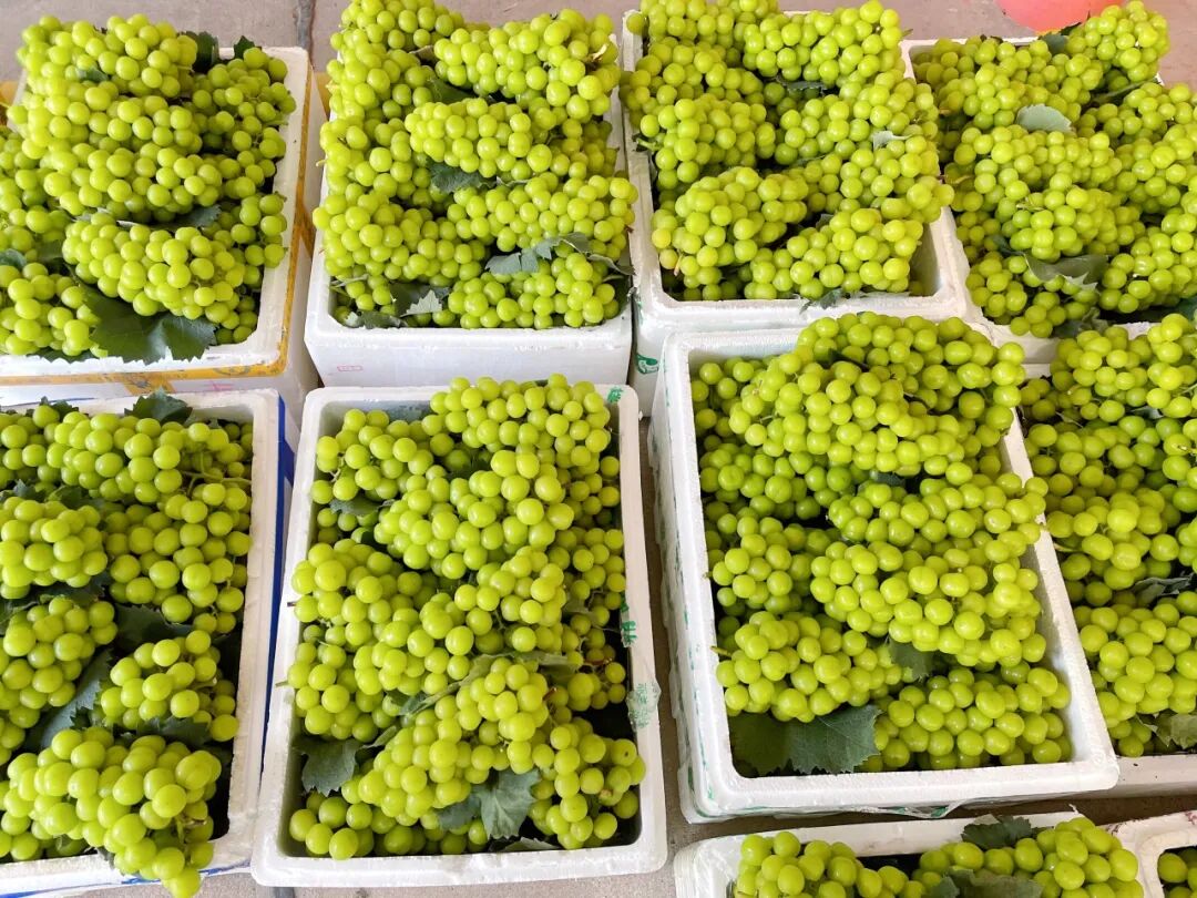 1756688716560263.jpg 5.jpg